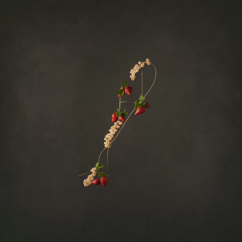 Strawberries-by-Marleen-Visser-food fotograaf amsterdam